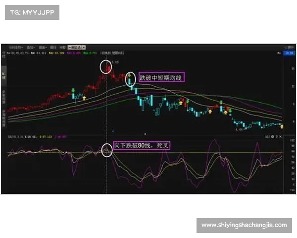 如何通过位面精华的运用提升个人实战技巧与战斗能力