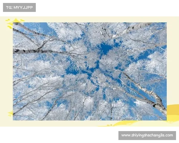冬季湖畔探秘之旅:感受冰雪与自然交融的绝美景致 冬季湖畔探秘之旅:感受冰雪与自然交融的绝美景致