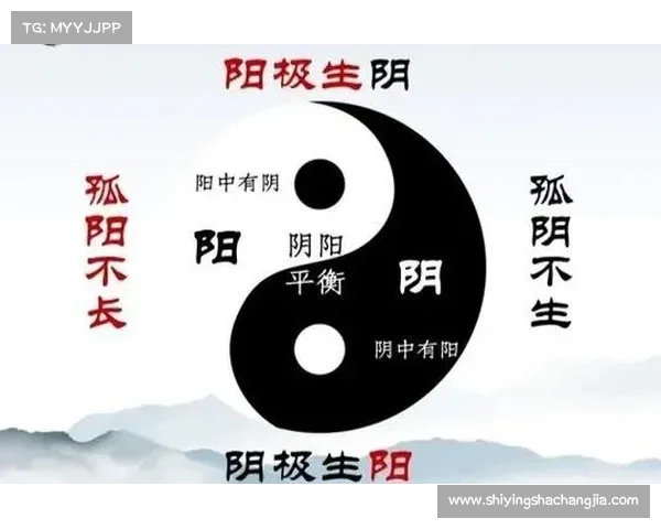 阴阳符文的奥秘与古代哲学的深度解读之旅 阴阳符文的奥秘与古代哲学的深度解读之旅