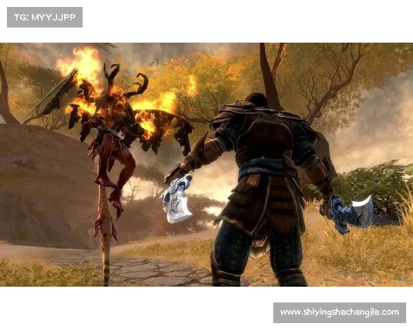 探究阿玛拉王国惩罚背包的重要性与其在命运体系中的核心作用