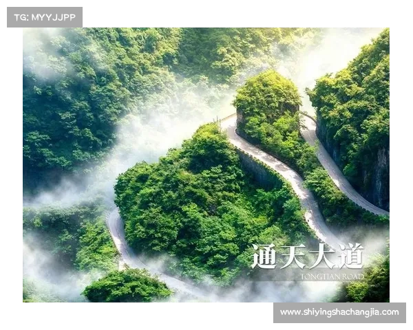 朱雀天境的奇幻之旅：探索神秘境界的入门与深度探秘