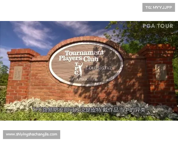 如何快速查询大卫路易斯所在球场的具体位置及交通方式