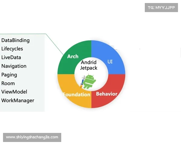 安联赞助商常见问题全面解析与合作答疑指南