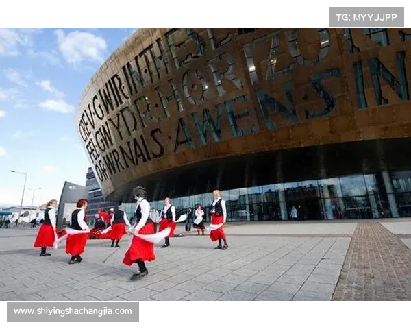 加的夫城足球俱乐部的辉煌与挑战 联赛历史全景回顾