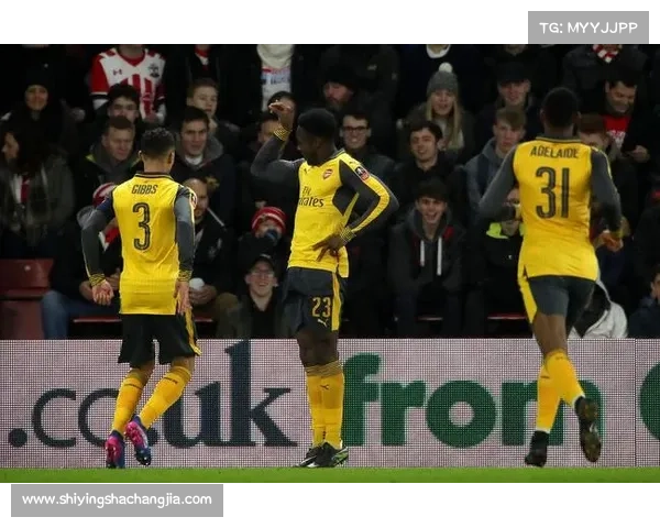 揭秘维尔贝克为何被称为黑贝以及这一称谓背后的历史渊源