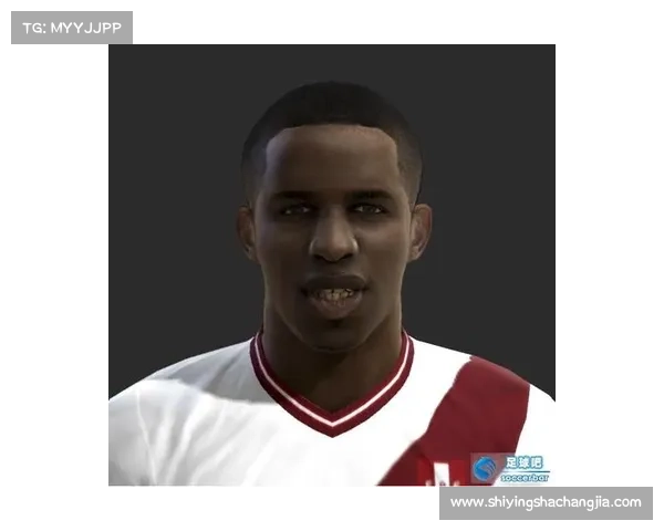 法尔范在沙尔克04的角色定位与赛场表现全方位分析