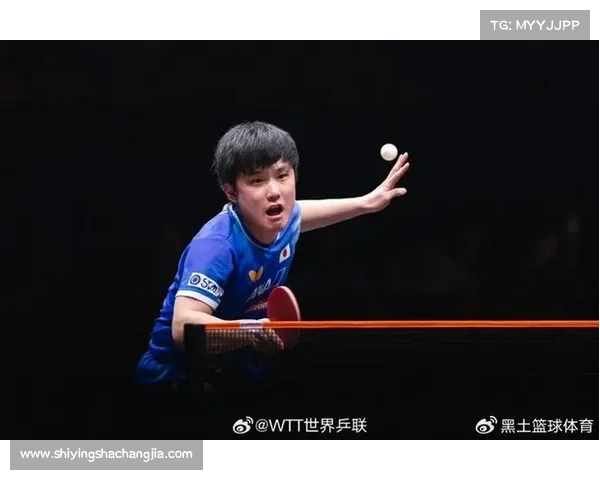 张本智和：职业生涯的五大成功启示