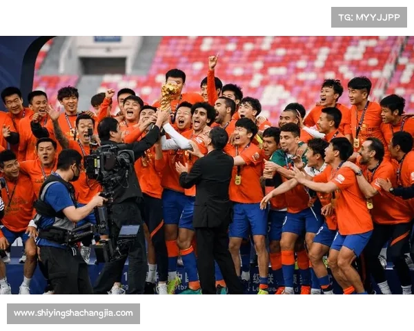 恢复中超16队规模的详细方案与实施路径解析 恢复中超16队规模的详细方案与实施路径解析