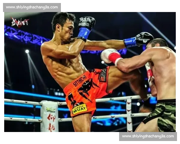 武林风巅峰对决西提猜迎战科尔激情较量全程回顾与精彩解析